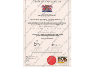 OHSAS 9001：2007 IDT