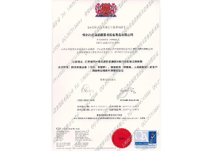 OHSAS 14001:2007 IDT